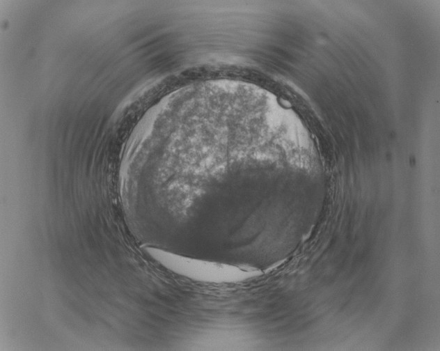 X0000064740919200603131314