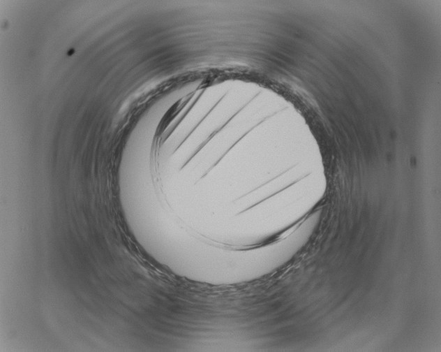 X0000064740920200603131314