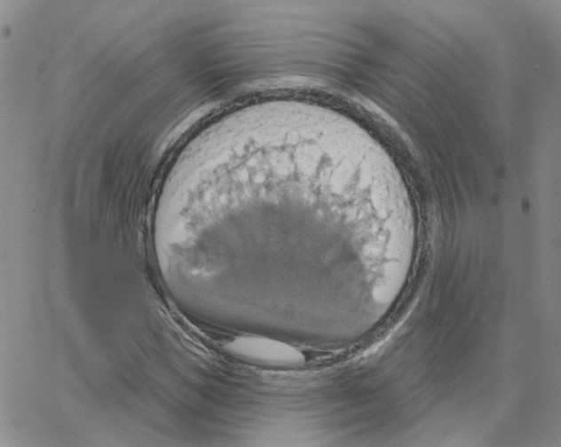 X0000064740921200603131314