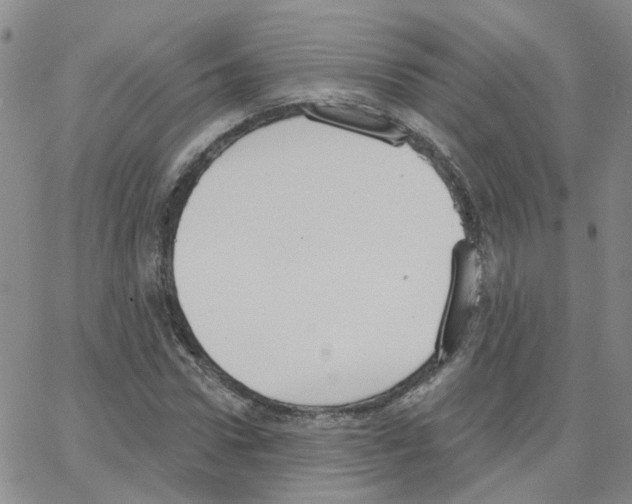 X0000064740922200603131314