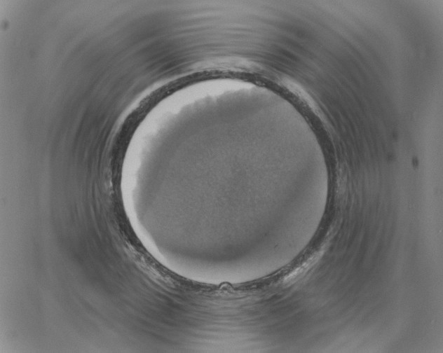 X0000064740923200603131314