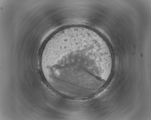 X0000064740925200603131314