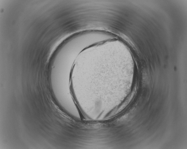 X0000064740926200603131314