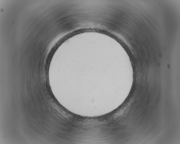 X0000064740927200603131314