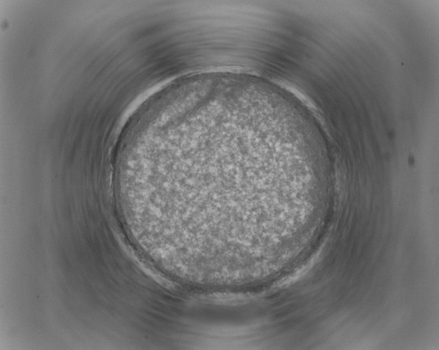 X0000064740933200603131315