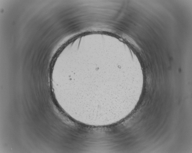 X0000064740934200603131315