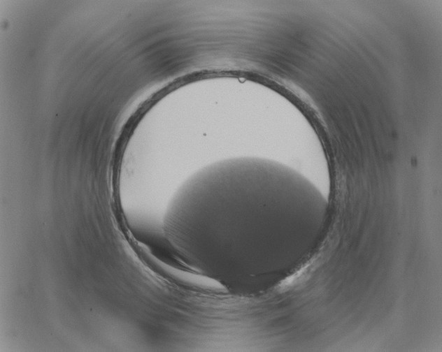 X0000064740935200603131315