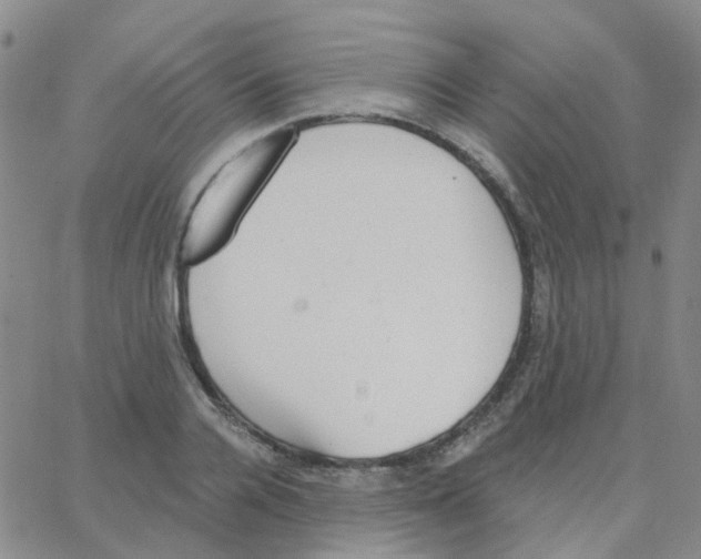 X0000064740936200603131315