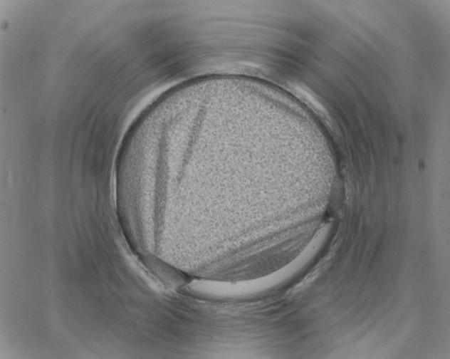 X0000064740940200603131315