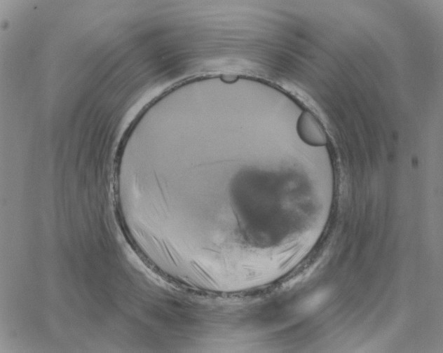 X0000064740941200603131315