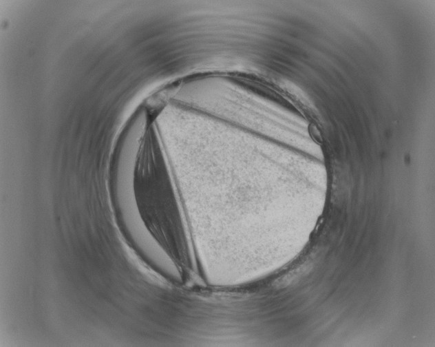 X0000064740942200603131315