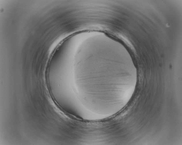 X0000064740944200603131315