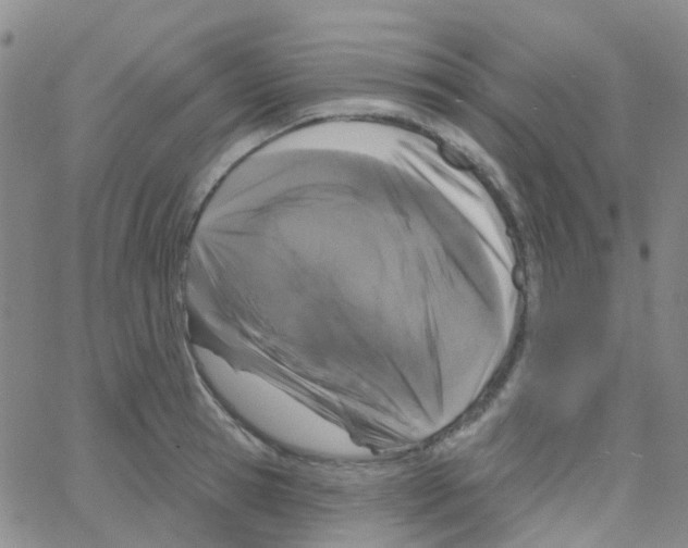 X0000064740945200603131315