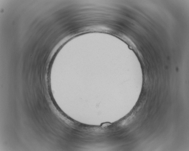 X0000064740947200603131315