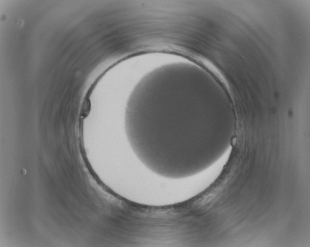 X0000064740951200603131315