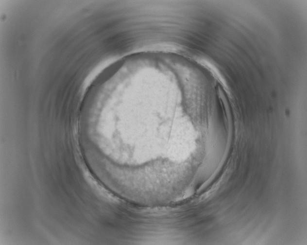 X0000064740952200603131315