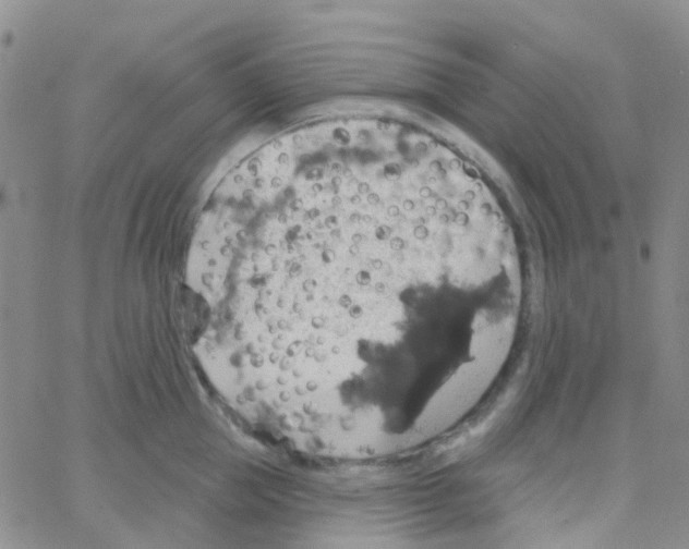 X0000064740953200603131315