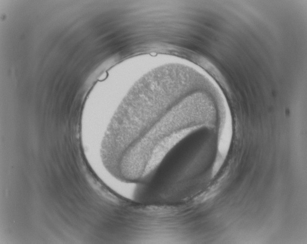 X0000064740954200603131315