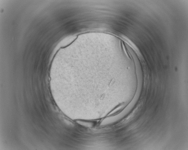 X0000064740956200603131315