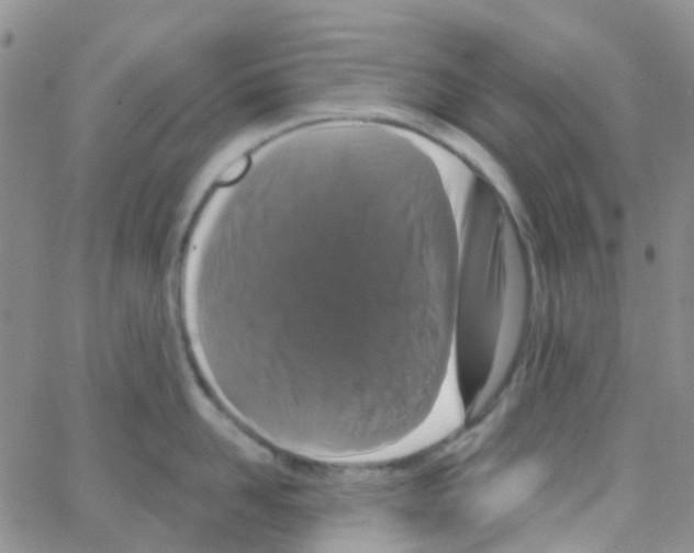 X0000064740958200603131315