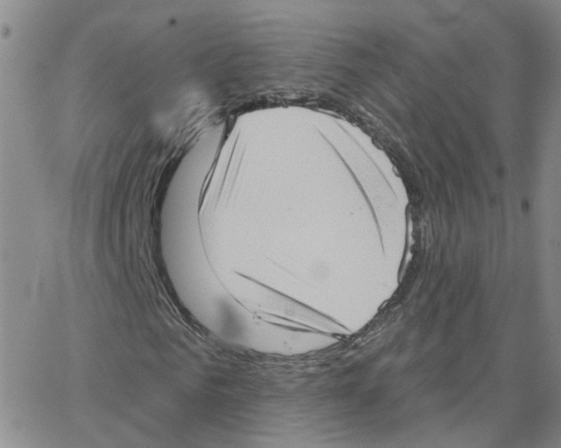 X0000064740961200603131314