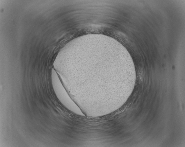 X0000064740964200603131314