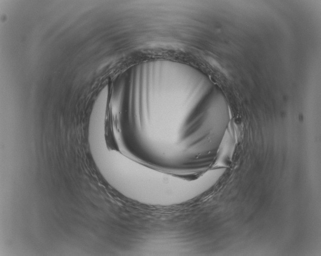 X0000064740965200603131314