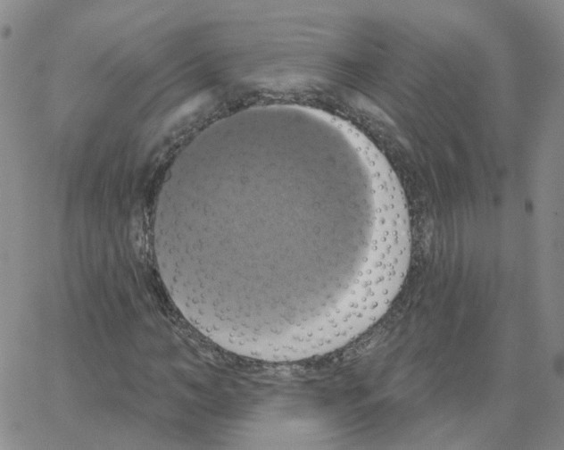 X0000064740966200603131314