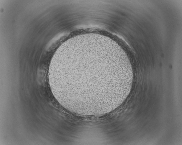 X0000064740967200603131314