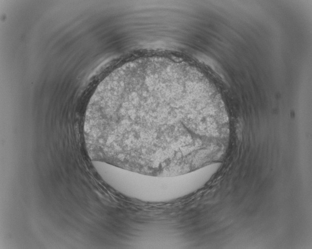 X0000064740968200603131314