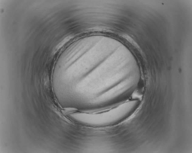 X0000064740969200603131314