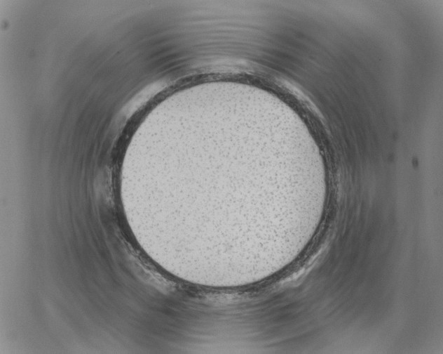 X0000064740970200603131314