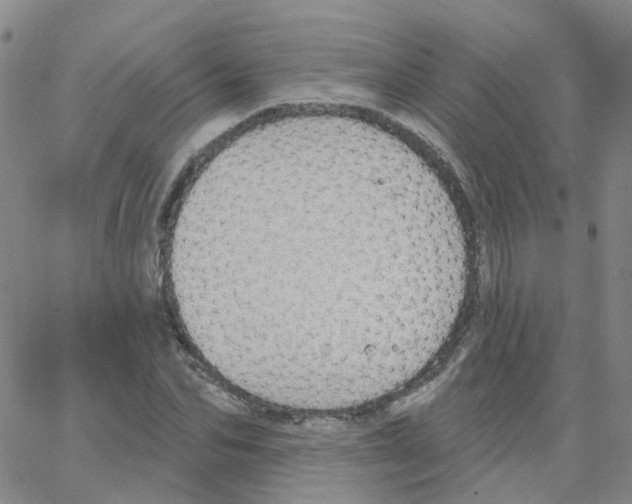 X0000064740974200603131314