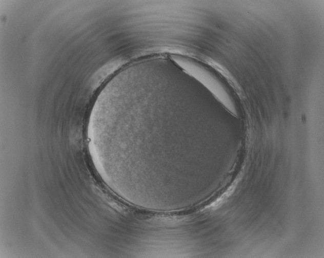 X0000064740977200603131314