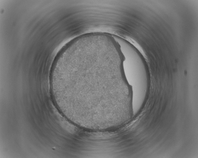 X0000064740980200603131314