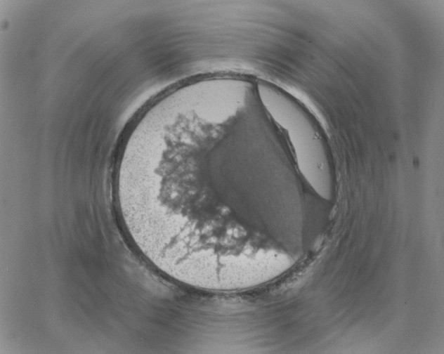 X0000064740983200603131314