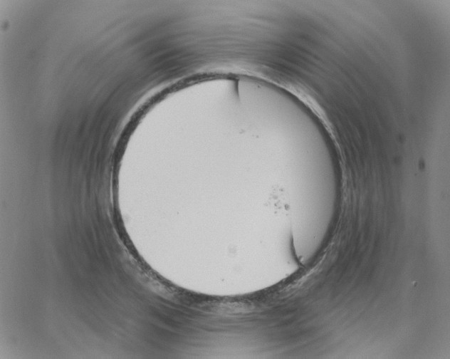 X0000064740984200603131314