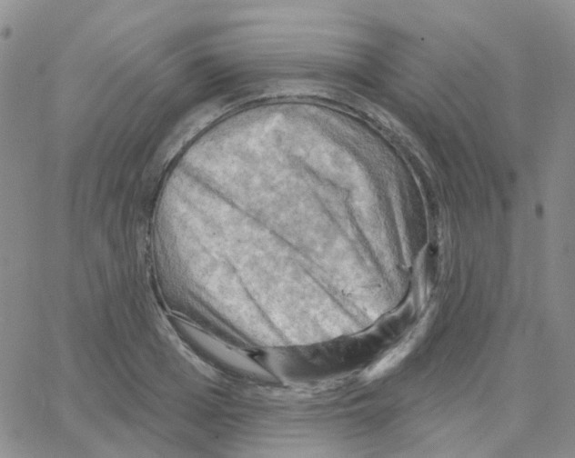 X0000064740985200603131314