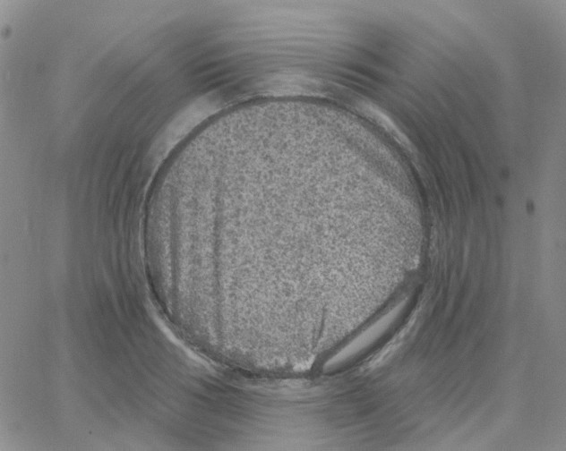 X0000064740986200603131314