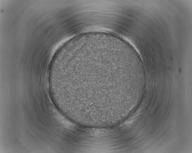 X0000064740987200603131314