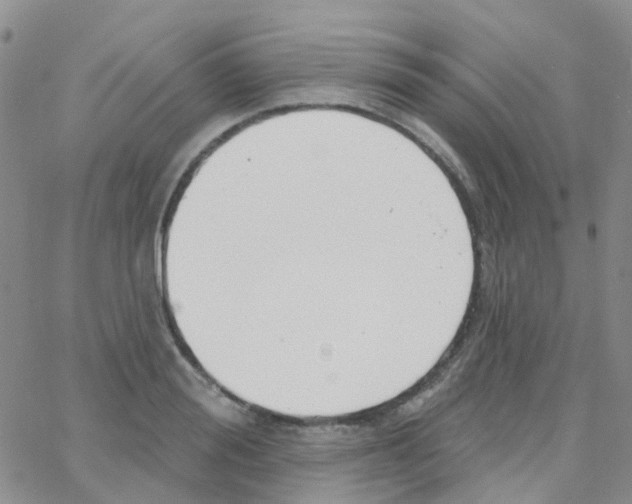 X0000064740988200603131314