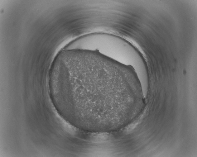 X0000064740991200603131314