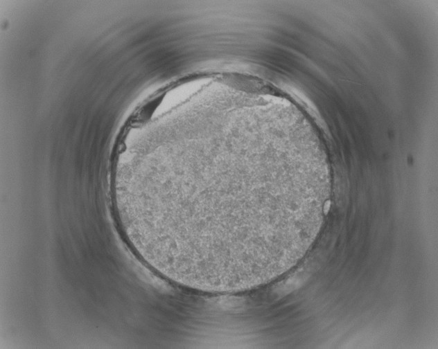 X0000064740992200603131314