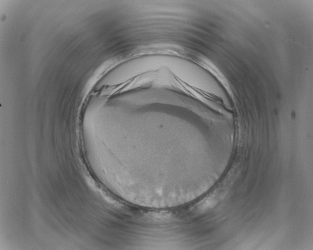 X0000064740994200603131314