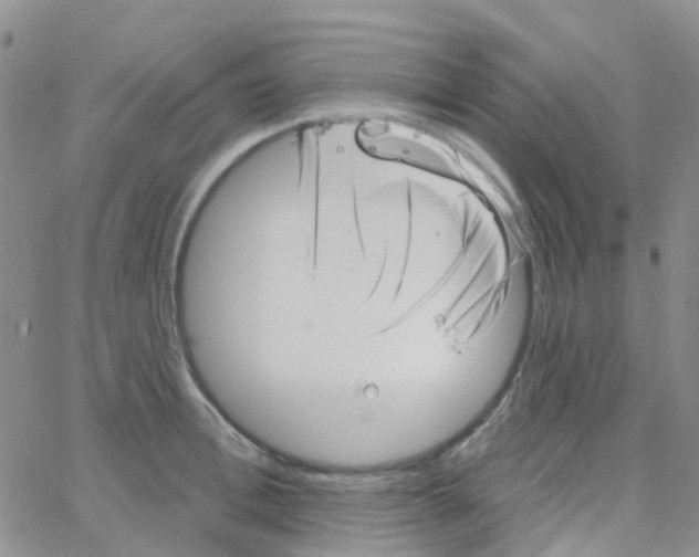 X0000064740996200603131314