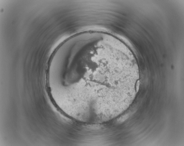 X0000064740999200603131314