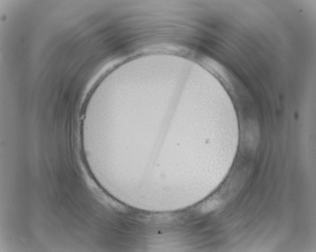 X0000064741000200603131314