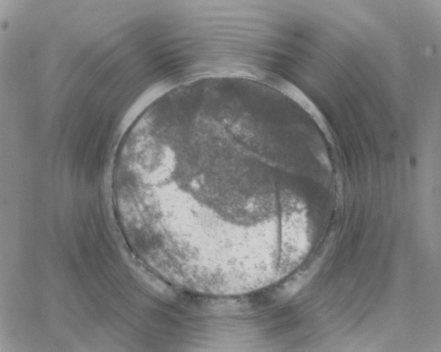 X0000064741002200603131314