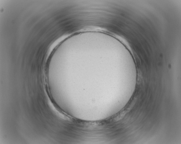 X0000064741003200603131314