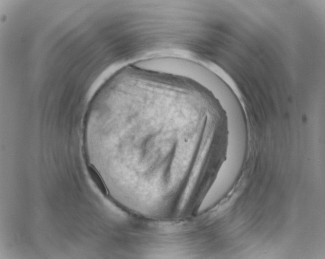 X0000064741005200603131313